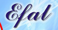 Efal - Expresso Faxinalense Ltda. logo