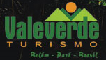 Vale Verde Turismo logo