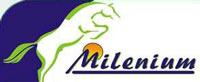 Milenium Turismo logo